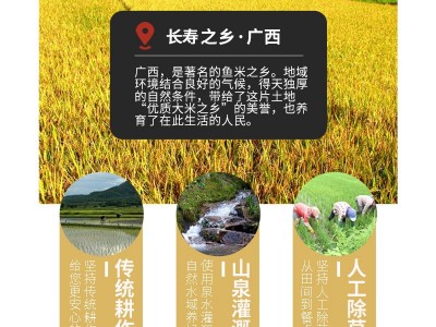 广西上林丝苗米2022年新米优质大米纯正九七香米十斤装大米长粒香图4