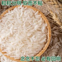 籼米特长猫牙米5kg大米批发10kg丝苗米50斤米长粒新米可代发包邮