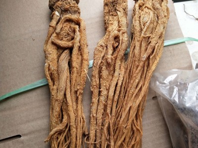 当归厂家供应水洗有硫黄当归食用农产品产地直供量大从优图3