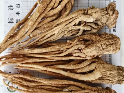 当归厂家供应水洗有硫黄当归食用农产品产地直供量大从优图5