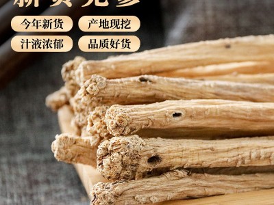 产地直发甘肃党参条农产品批发党参煲汤配当归黄芪非野生党参图3