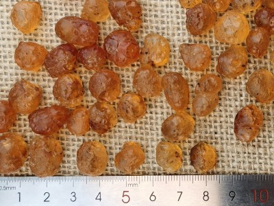 精选大珍珠桃胶大颗粒桃胶皂角米银耳雪燕雪莲子伴侣500g 桃胶图3
