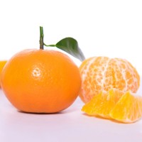 沃柑新鲜水果多汁甜果肉饱满新鲜柑橘现摘现发顺丰包邮