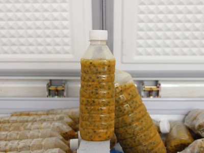 广西特产新鲜百香果鸡蛋果西番莲百香果酱果肉果汁原浆 4斤包邮图3
