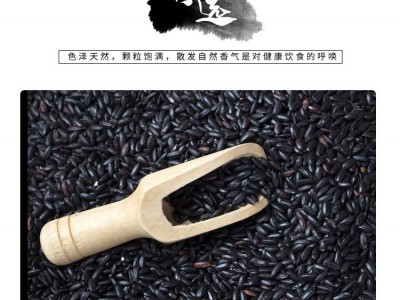 涞源县飞狐源黑米500g桶装低脂饱腹杂粮图1