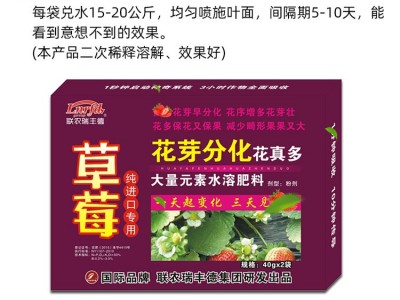 进口草莓花芽分化药增花增果促进剂花序多花芽壮分化素草莓叶面肥图4