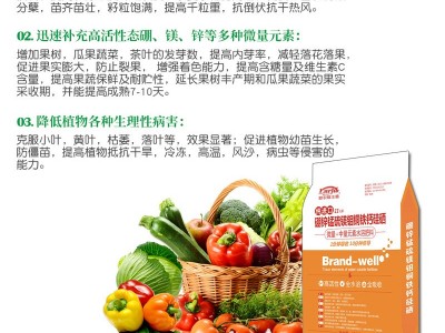 农资化肥中微量元素水溶肥料番茄黄瓜辣椒果树蔬菜叶面肥厂家图4