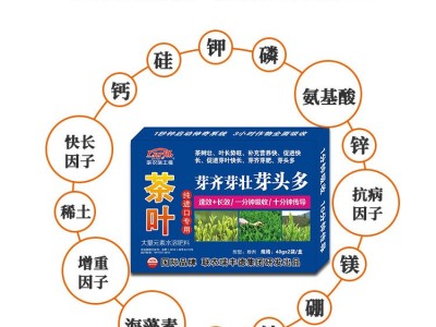 茶叶催芽剂芽齐芽壮芽头多大量元素水溶肥料促茶叶快长叶面肥图3
