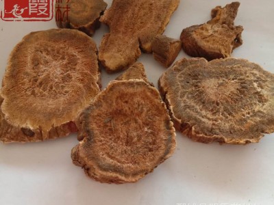 明霞药材 马蹄【大黄】1000克 批发零售 供应中药材图3