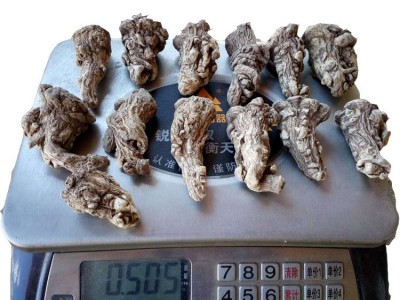 源产地直销甘肃岷县当归头 无硫头1斤13头左右 厂家直销量大从优图1