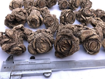 源产地直销甘肃岷县当归头 无硫头1斤13头左右 厂家直销量大从优图3
