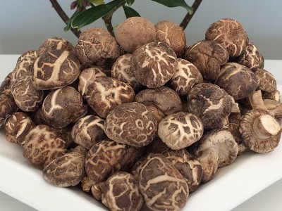 湖北随州特产香菇干货椴木小花菇产地直批500克农家花菇冬菇干货图3
