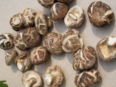 湖北随州特产香菇干货椴木小花菇产地直批500克农家花菇冬菇干货图5