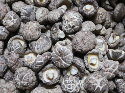 茶花花菇 柄短香菇干冬菇批发产地直发花菇干货批发 佛跳墙配料图3