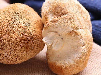 新货古田猴头菇干货散装批发产地发货猴头菇500g食用菌批发图2