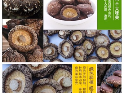 西峡香菇干板菇大小均匀香味浓郁冬菇剪脚菇单双剪菇脚产地批发图4