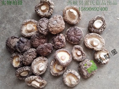 香菇板菇2.0-3.0cm 菇世宝品牌 香菇脚，单双剪 菇脚片 丁丝图3