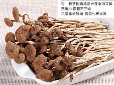 茶树菇新货古田特产 茶树菇不开伞特产批发 干货散装无熏厂家批发图3