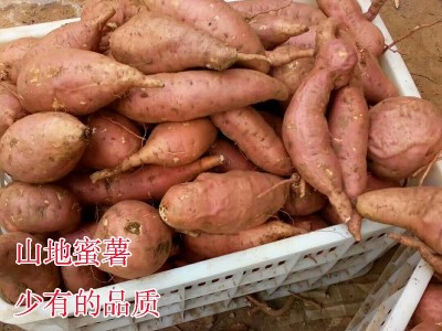 山东烟薯25红心稀瓤泗水烤地瓜高山种植糖化好的品质细腻绵甜新货图3