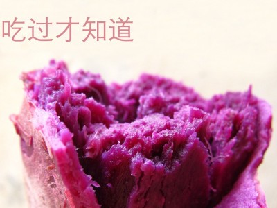 农家自种新鲜紫薯板栗红薯紫心番薯地瓜小紫薯糯甜鲜食加工厂代发图4