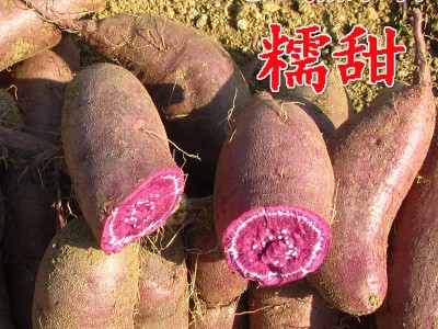 农家自种新鲜紫薯板栗红薯紫心番薯地瓜小紫薯糯甜鲜食加工厂代发图3