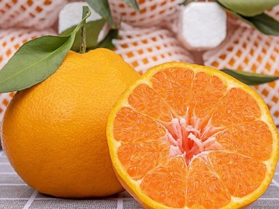 【套袋果】爱媛38号果冻橙四川橘子柑橘水果非皇帝柑整箱10斤包邮图5