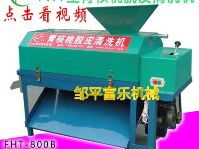 小型干核桃脱皮机 青核桃去皮清洗机 富乐 核桃去青皮机图4