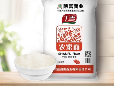 陕富千雪5kg优质小麦家庭通用白面粉饺子面条凉皮包子粉中筋麦芯图2