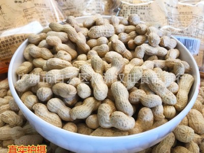 批发陈皮味花生陈皮花生小珍珠花陈皮花生坚果炒货5斤*2包图5