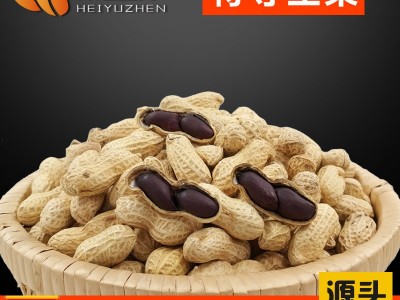【黑花生源头厂家直供】黑花生生果500g 新货 带壳生的 批发价图2