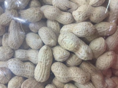 齐兴-小珍珠花生 蒜香味 整箱10斤图2