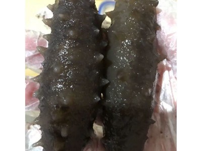 自晒长岛淡干海参干货山东烟台非大连辽参刺参50g-500g散装选礼盒图4