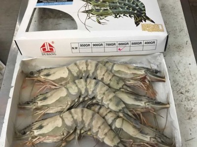 冷冻大花虾 大对虾6头 虎虾海鲜 冷冻九节虾 各规格黑虎虾 净重60图3