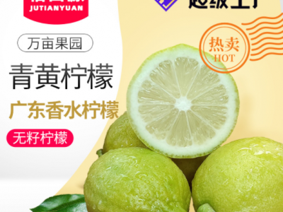 新鲜香水柠檬5斤包邮二级果无籽四季奶茶店专用薄皮厚皮青黄柠檬图1
