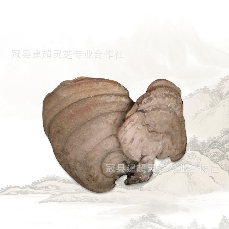 微信图片_20190721183057