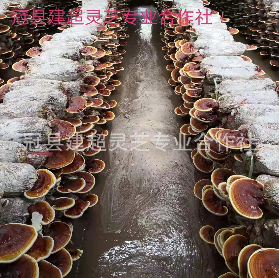 微信图片_20190722171633.jpg