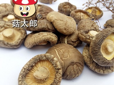 菇太郎干香菇西峡香菇产地批发3-3.5cm冬菇干椎茸欧盟出口商检图2