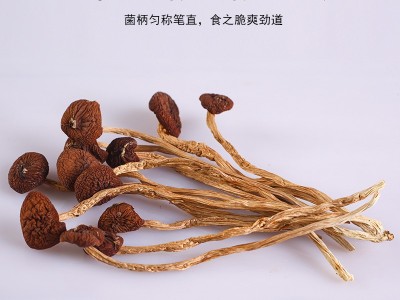 江南畔茶树菇250g菌菇干货煲汤常备原料肉质肥厚厂家批发年货礼品图4