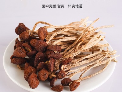 江南畔茶树菇250g菌菇干货煲汤常备原料肉质肥厚厂家批发年货礼品图3