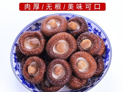 云耳牌云南香菇菌菇山珍南北干货食用菌金钱菇批发源头厂家直供图1