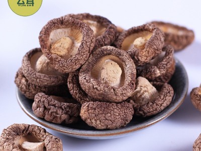云耳牌云南香菇菌菇山珍南北干货食用菌金钱菇批发源头厂家直供图3