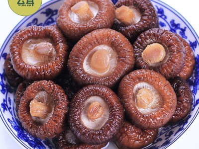 云耳牌云南香菇菌菇山珍南北干货食用菌金钱菇批发源头厂家直供图4