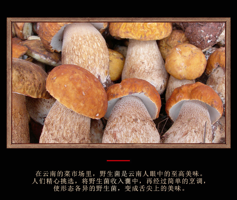 小蘑菇_06.jpg
