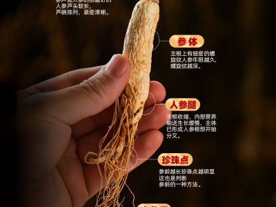 生晒参 长白山人参干参 250g泡酒煲汤图3