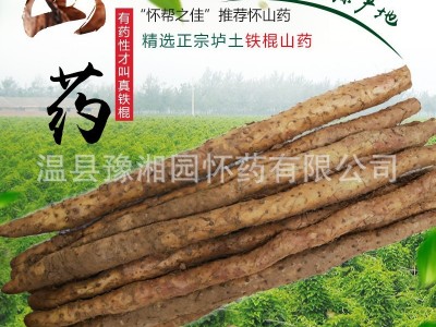 河南焦作温县垆土铁棍山药怀山药温县特产5斤净重礼盒装图2