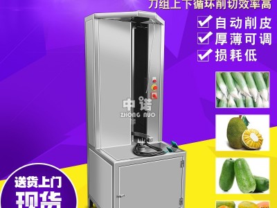 厂家供应瓜果削皮机 全自动菠萝削皮机 立式荔浦芋头削皮设备图3