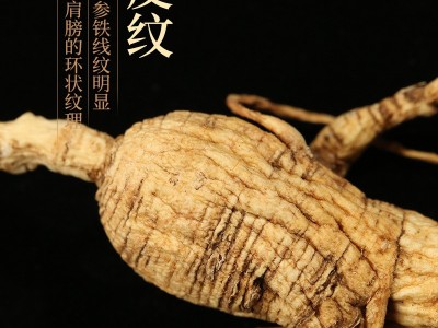 厂家直销长白山林下参 正品野山参15年25年移山参籽货干参礼盒图2