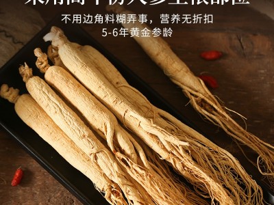 厂家批发长白山人参片 现货批发足龄无硫干参生晒参大片 人参切片图4