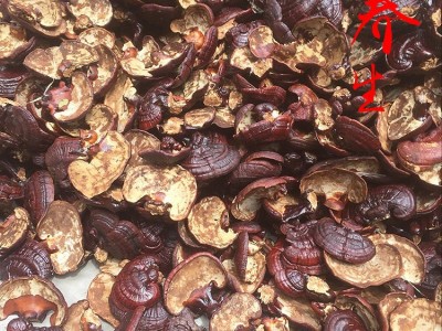 现货供应 紫灵芝 长白山紫灵芝 紫灵芝片免费切片打粉图2
