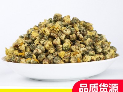 批发菊花茶新货 胎菊散装花草茶杭白菊胎菊花茶江苏胎菊批发图2